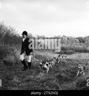 Beagling Jagd Hasen und Kaninchen UK. Die Dummer Beagles auf der Manor Farm, Beagles jagen Hasen und Kaninchen, Anhänger folgen zu Fuß - Wandern. Der Jagdmann und der Jagddiener und vielleicht ein paar andere, sehr fitte Anhänger laufen. Steven Duckmanton, der Huntsman und die Beagles, die nach einem Duft suchen. Icomb, Gloucestershire, England 2002 2000er Jahre HOMER SYKES Stockfoto