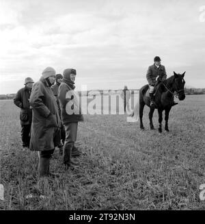 Hase Coursing. An einem bitterkalten Februartag treffen sich Mitglieder des Swaffham Coursing Club in der Nähe von Narborough, Norfolk. Der Richter auf dem Pferd überwacht jeden Kurs. Er trägt eine kleine rote und weiße Flagge, die er schwenkt, um dem Flaggenmann anzuzeigen, den greyhound gewonnen hat. Der Fahnenmann fliegt dann die entsprechende farbige Flagge. HOMER SYKES AUS DEN 2002 2000ER JAHREN Stockfoto