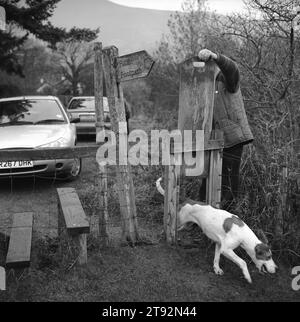 Fox Hunting UK, Lake District, Blencathra Foxhounds. Ein Hund findet seinen Weg zurück zum Rudel. Er passiert ein Hundetor. In Der Nähe Von Braithwaite, Cumbria. 2002, 2000er England HOMER SYKES Stockfoto