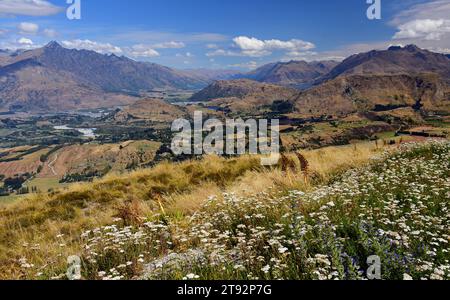 Speergras flach Lower shotover und Dalefield zum See hayes, vom Coronet Peak. In der Nähe von queenstown auf der Südinsel neuseelands Stockfoto