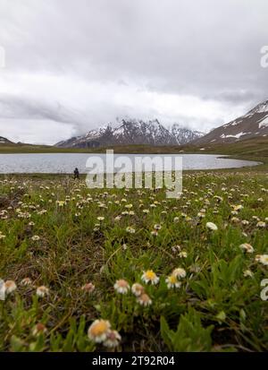 Der Pensila-See, umgeben von schneebedeckten Gipfeln, enthüllt einen ruhigen Himmel. Wildblumen zieren Wiesen und spiegeln die Harmonie der Natur im ruhigen Wasser wider. Stockfoto