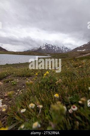 Der Pensila-See, umgeben von schneebedeckten Gipfeln, enthüllt einen ruhigen Himmel. Wildblumen zieren Wiesen und spiegeln die Harmonie der Natur im ruhigen Wasser wider. Stockfoto