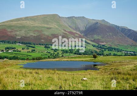 Blick über Tewet Tarn in Richtung Blencathra im Sommer in der Nähe des Keswick Lake District National Park Cumbria England Großbritannien Großbritannien Großbritannien Großbritannien Großbritannien Großbritannien Großbritannien Großbritannien Großbritannien Großbritannien Großbritannien Großbritannien Großbritannien Großbritannien Stockfoto