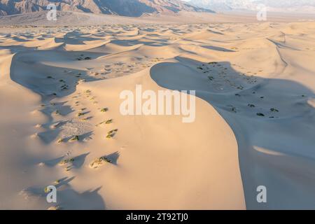 Gerissener Boden und gekrümmter Fluss als Wasserquelle. Das Konzept der globalen Erwärmung. Trockene Risse im Land, ernste Wasserknappheit. Dürrekonzept. Stockfoto