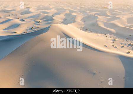 Gerissener Boden und gekrümmter Fluss als Wasserquelle. Das Konzept der globalen Erwärmung. Trockene Risse im Land, ernste Wasserknappheit. Dürrekonzept. Stockfoto