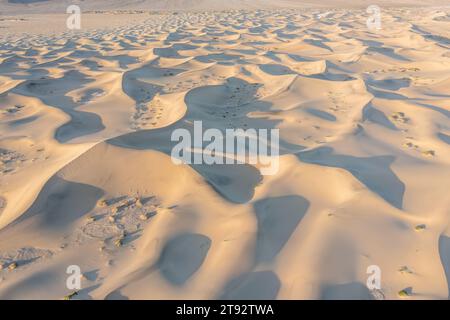 Gerissener Boden und gekrümmter Fluss als Wasserquelle. Das Konzept der globalen Erwärmung. Trockene Risse im Land, ernste Wasserknappheit. Dürrekonzept. Stockfoto