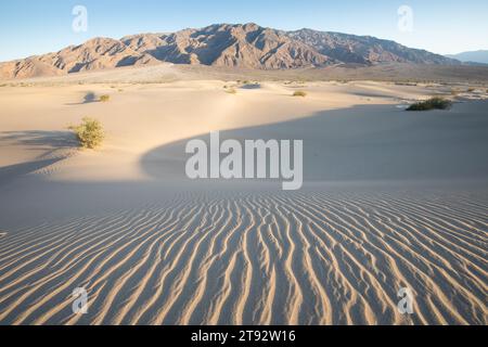 Gerissener Boden und gekrümmter Fluss als Wasserquelle. Das Konzept der globalen Erwärmung. Trockene Risse im Land, ernste Wasserknappheit. Dürrekonzept. Stockfoto