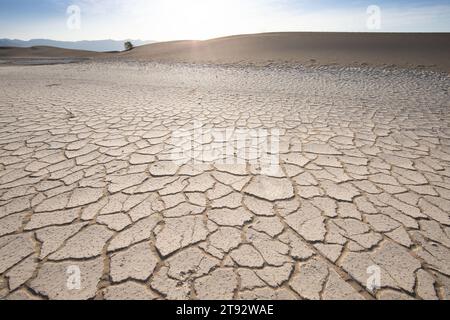 Gerissener Boden und gekrümmter Fluss als Wasserquelle. Das Konzept der globalen Erwärmung. Trockene Risse im Land, ernste Wasserknappheit. Dürrekonzept. Stockfoto