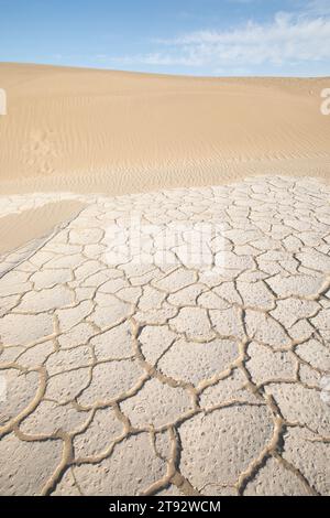 Gerissener Boden und gekrümmter Fluss als Wasserquelle. Das Konzept der globalen Erwärmung. Trockene Risse im Land, ernste Wasserknappheit. Dürrekonzept. Stockfoto