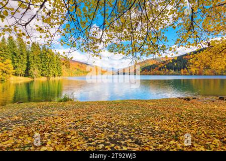 Ruhige Naturlandschaft am See. Wald in hellen Herbstfarben am Ufer, bedeckt mit gelbem Laub. Bergige Landschaft an einem sonnigen Tag reflektierend Stockfoto