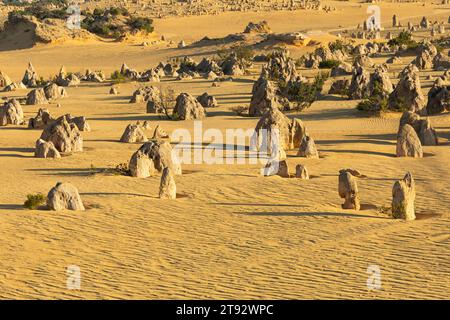 Die Kalksteinpinnacles, Nambung National Park, Stockfoto