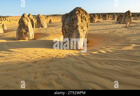 Die Kalksteinpinnacles, Nambung National Park, Stockfoto