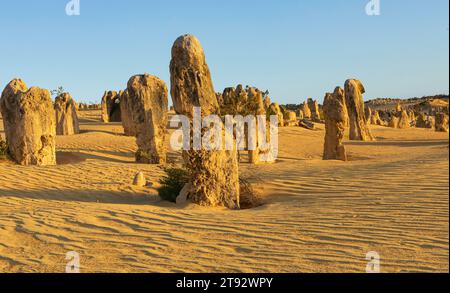 Die Kalksteinpinnacles, Nambung National Park, Stockfoto