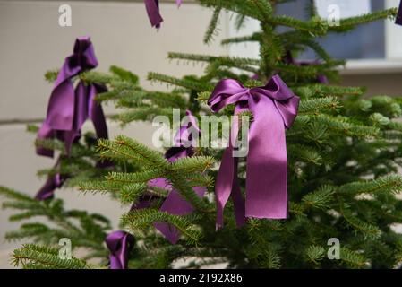 Tauchen Sie ein in den Charme eines violetten Stoffbandes, das den Zweig einer Kiefer anmutig ziert. Der weiche Fokus auf die urbane Kulisse, leer o Stockfoto