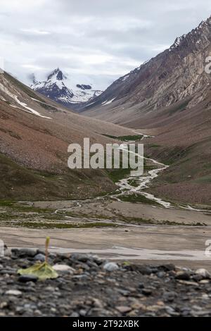 Fluss, der von einem schneebedeckten Berg fließt. Stockfoto