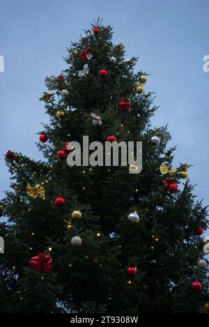 Tauchen Sie ein in den Zauber eines majestätischen Weihnachtsbaums, der hoch steht und mit strahlenden Lichtern, roten, goldenen und silbernen Ornamenten strahlt Stockfoto