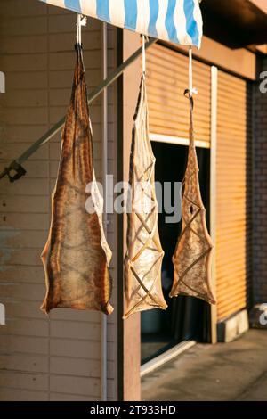 Getrockneter Fisch hängt in der Sonne in den Straßen von Nachikatsuura, Wakayama Japan. Stockfoto