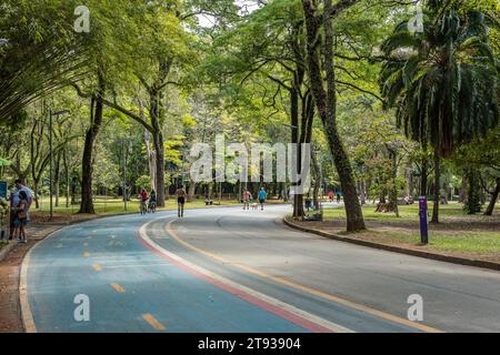 Sao Paulo, Brasilien. Ibirapuera Park. Blaue Radwegkurve auf dem Bürgersteig. Menschen, die Sport treiben und durch die Landschaft laufen. Stockfoto