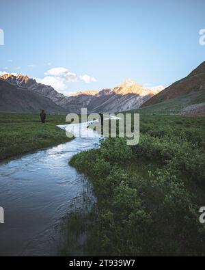 Ein kurviger Bach, der durch die Wiesen von Rangdum ladakh fließt. Stockfoto