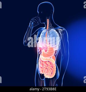 Transparente 3D-Illustration des Verdauungssystems eines essenden Mannes. Die Kristallanatomie von Oesophagus und Magen bis zum Darm. Stockfoto