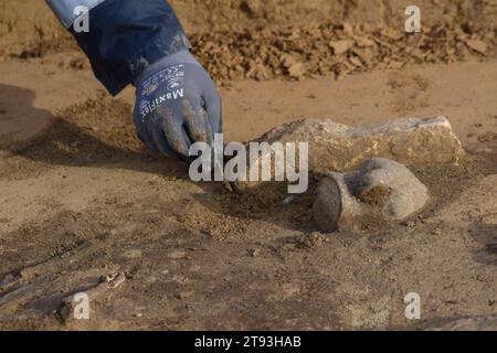 Magdeburg, Deutschland. November 2023. In einem steinzeitlichen Grab auf der zukünftigen Baustelle wurde für den Chip-Hersteller Intel ein Schiff gefunden. Das etwa 6000 Jahre alte Grab wird der mitteldeutschen Baalberger Kultur zugeschrieben. Die mitteldeutsche Baalberger Kultur ist Teil der Tradition der ersten sesshaften Siedler in Europa. Die Ausgrabungsarbeiten des Landesamtes für Denkmalpflege und Archäologie Sachsen-Anhalt sollen bis Ende des Jahres abgeschlossen sein. Quelle: Klaus-Dietmar Gabbert/dpa/Alamy Live News Stockfoto