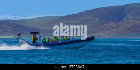 Rasantes Zodiac für Whale Watching-Touristen, Husavik, Island Stockfoto