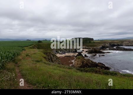 Malerischer Blick auf eine felsige Küste mit einem gewundenen, unbefestigten Pfad durch grüne Felder, unter einem bewölkten Himmel, mit Blick auf ein tiefblaues Meer Stockfoto