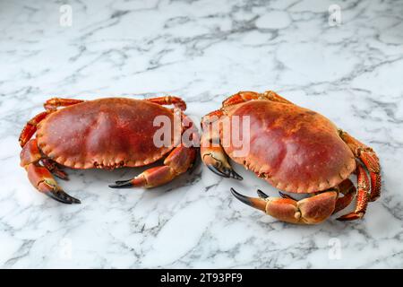 Köstliche gekochte Krabben auf weißem Marmortisch Stockfoto