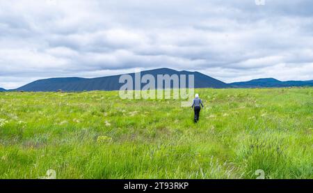 Blick vom Südende des Mývatn-Sees mit dem Hverfjall-Krater im Hintergrund, Nord-Island - Europa - Grasfelder in der Nähe des Myvatn-Sees Stockfoto