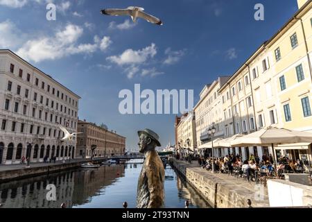 TRIEST, ITALIEN – 19. November 2023: Möwen umkreisen die Statue des irischen Schriftstellers James Joyce auf der Brücke von Ponte Rosso in Triest Stockfoto