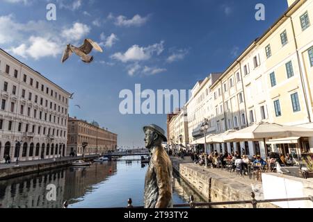 TRIEST, ITALIEN – 19. November 2023: Möwen umkreisen die Statue des irischen Schriftstellers James Joyce auf der Brücke von Ponte Rosso in Triest Stockfoto