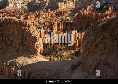 Blick Durch Die Hoodoo Wall In Richtung Amphitheater Im Bryce Canyon Stockfoto