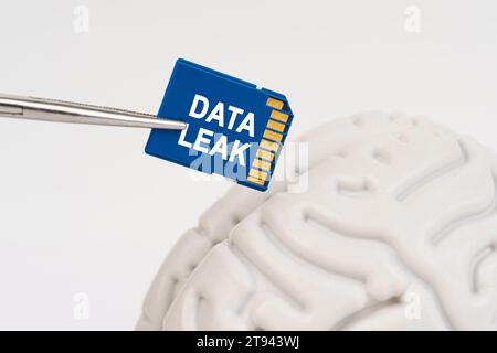 Ein Mann steckt eine Speicherkarte in sein Gehirn mit der Aufschrift "DATENLECK". Wissenschafts- und Technologiekonzept. Stockfoto