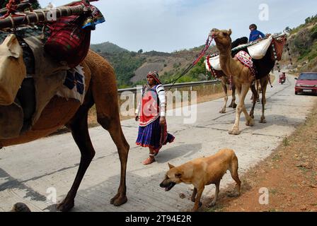 Die Banjara-Frauen in ihrer alten Mode von Kleidung und Schmuck sind vielleicht die farbenfrohste und raffinierteste aller Stammesgruppen in Indien. Sie sind die typischen Nomaden, die sich von einem Ort zum anderen wundern und so ein Leben in ihren eigenen Bedingungen führen. Mandu, Madhya Pradesh, Indien. Stockfoto