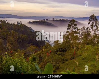 Der niedrige, dicke Nebel bei Sonnenaufgang bedeckt teilweise den Wald der östlichen Andenberge in Zentral-Kolumbien in der Nähe des Iguaque-Berges. Stockfoto