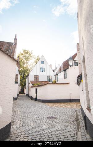 Historisches Zentrum von Begijnhof in Kortrijk mit dem Glockenturm von Courtrai im Hintergrund. Eine Sammlung von Einzelhäusern und/oder Gemeinschaftshäusern, Häusern und Stockfoto