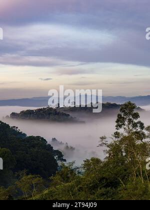 Der niedrige, dicke Nebel bei Sonnenaufgang bedeckt teilweise den Wald der östlichen Andenberge in Zentral-Kolumbien in der Nähe des Iguaque-Berges. Stockfoto