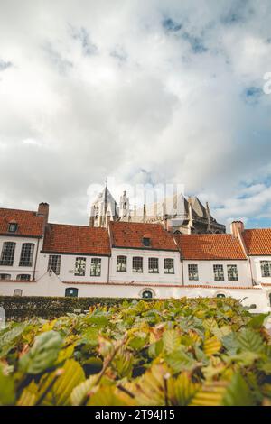 Historisches Zentrum von Begijnhof in Kortrijk mit dem Glockenturm von Courtrai im Hintergrund. Eine Sammlung von Einzelhäusern und/oder Gemeinschaftshäusern, Häusern und Stockfoto
