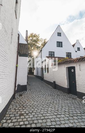 Historisches Zentrum von Begijnhof in Kortrijk mit dem Glockenturm von Courtrai im Hintergrund. Eine Sammlung von Einzelhäusern und/oder Gemeinschaftshäusern, Häusern und Stockfoto