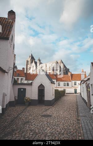 Historisches Zentrum von Begijnhof in Kortrijk mit dem Glockenturm von Courtrai im Hintergrund. Eine Sammlung von Einzelhäusern und/oder Gemeinschaftshäusern, Häusern und Stockfoto