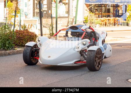 Campagna T-Rex Trike in Arctic while, Greenwich Village, New York City, Vereinigte Staaten von Amerika. Stockfoto