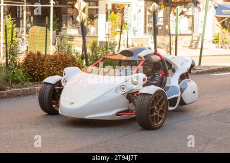 Campagna T-Rex Trike in Arctic while, Greenwich Village, New York City, Vereinigte Staaten von Amerika. Stockfoto