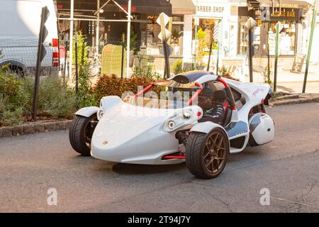 Campagna T-Rex Trike in Arctic while, Greenwich Village, New York City, Vereinigte Staaten von Amerika. Stockfoto