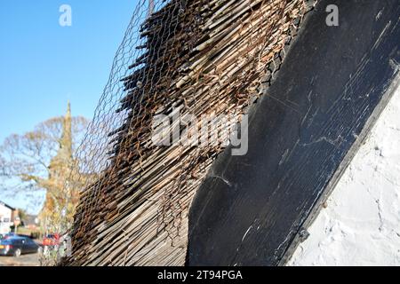 Giebelwand mit Strohdach, ummantelt mit Draht zum Schutz Churchtown southport merseyside england uk Stockfoto