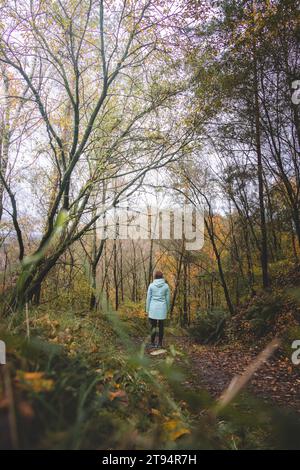 Junge sportliche Frau in blauem Regenmantel steht bei regnerischem Wetter im Nationalpark Hoge Kempen in Belgien in einem duftenden Wald. Herbstfarbe. Stockfoto