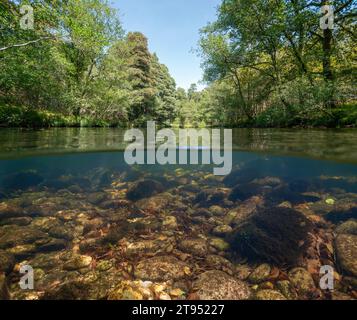 Wilder Fluss gesäumt von Bäumen mit Felsen unter Wasser, geteilter Blick über und unter Wasser, Naturlandschaft, Spanien, Galicien, Provinz Pontevedra Stockfoto