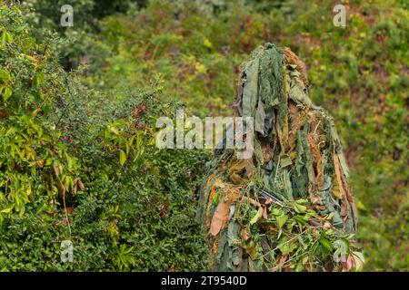 Ein Soldat, der ein militärisches Tarnoutfit trägt und sich in einen grünen Hintergrund einfügt Stockfoto