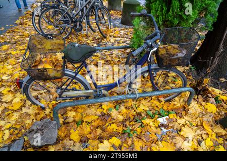 Herbst, Laub, Fahrradparkplatz, Stellplatz, Räder stehen auf einem Herbstlaub, Blätterteppich, Herbstlaub *** Herbst, Blätter, Fahrradparkplatz, Parkplatz, Fahrräder stehen auf Herbstlaub, Teppich aus Blättern, Herbstlaub Credit: Imago/Alamy Live News Stockfoto