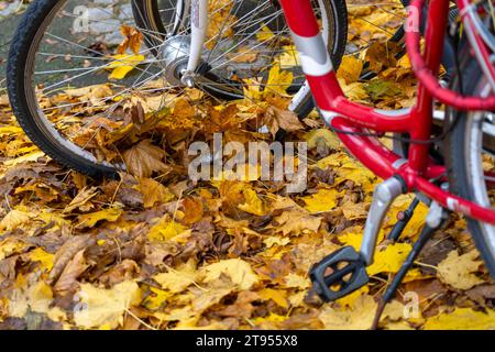 Herbst, Laub, Fahrradparkplatz, Stellplatz, Räder stehen auf einem Herbstlaub, Blätterteppich, Herbstlaub *** Herbst, Blätter, Fahrradparkplatz, Parkplatz, Fahrräder stehen auf Herbstlaub, Teppich aus Blättern, Herbstlaub Credit: Imago/Alamy Live News Stockfoto