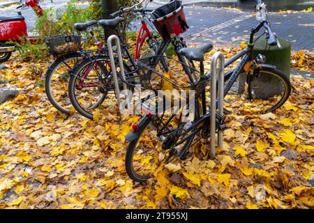 Herbst, Laub, Fahrradparkplatz, Stellplatz, Räder stehen auf einem Herbstlaub, Blätterteppich, Herbstlaub *** Herbst, Blätter, Fahrradparkplatz, Parkplatz, Fahrräder stehen auf Herbstlaub, Teppich aus Blättern, Herbstlaub Credit: Imago/Alamy Live News Stockfoto